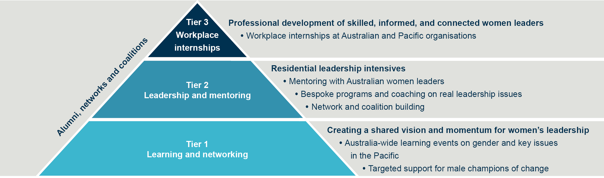 chart outlining Women's Leadership Initiative program structure.