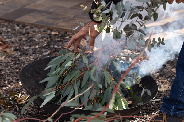 Close-up of native eucalyptus leaves placed on a smoking ceremony fire bowl, with smoke rising during a NAIDOC Week event.