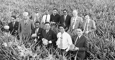 Students from Asia–Pacific countries visit a pineapple farm while attending an Australian regional course in agricultural marketing, Queensland, 1973. [National Archives of Australia]