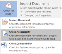 Launch the accessibility checker