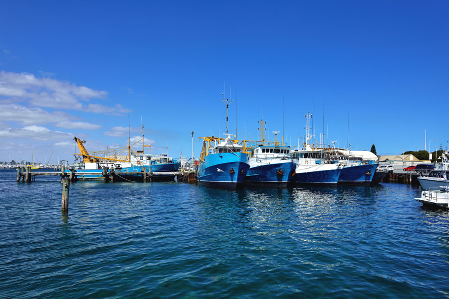 Fishing boats in harbour