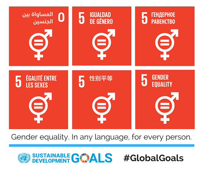 Sustainable development goal logo for "5 Gender Equality" in different languages
