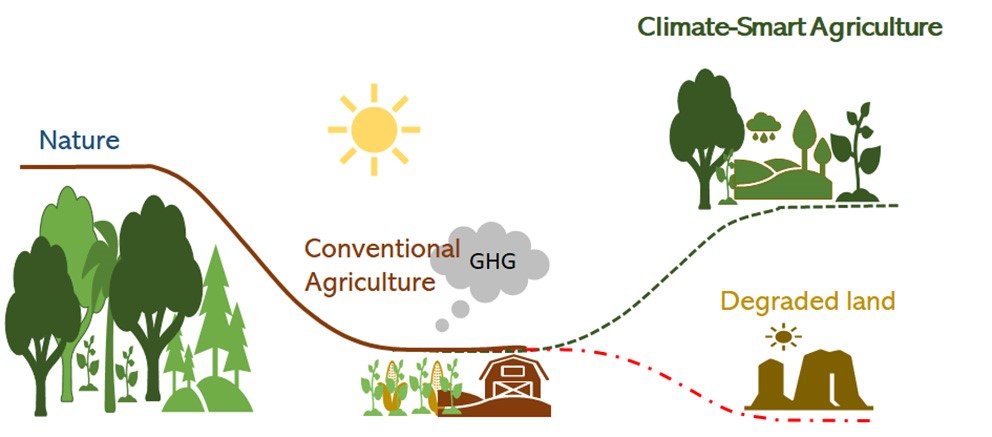 An infographic picture on how conventional agriculture can lead to degraded land and Climate-Smart Agriculture can lead to healthy soils. 