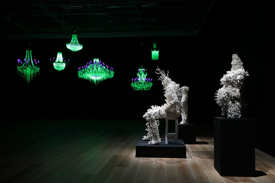 Photo of Ken + Julia Yonetani Exhibition.