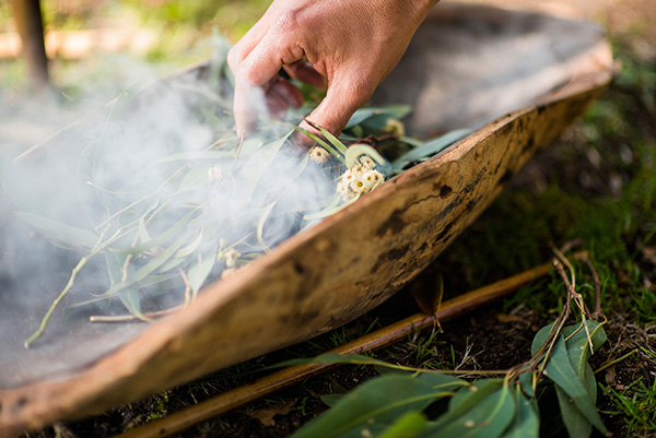 Hand placing eucalyptus leaves in a wooden bowl with smoke rising, part of a traditional smoking ceremony outdoors.