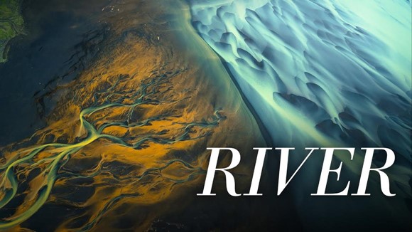 River on the right and tree roots on the left