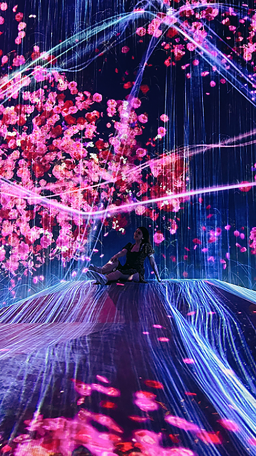 Beatrice on her visit to teamLab Borderless, an interactive gallery in Tokyo