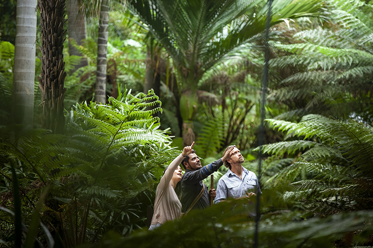 The Royal Botanic Gardens Sydney