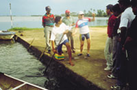 Canoeing and kayaking coach Lynda Lehmann