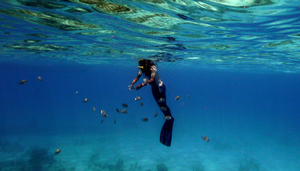 Diver in Caribbean coral reef