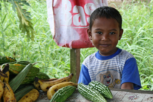 Young child at a table laden with bananas and other fruit