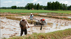 Two men working in ankle deep water in a rice paddy, one using a tool and one a machine.