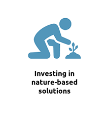 Investing in nature-based solutions