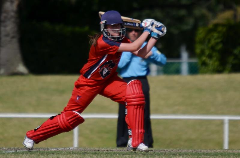 Cricketer wearing red uniform holding bat in the air