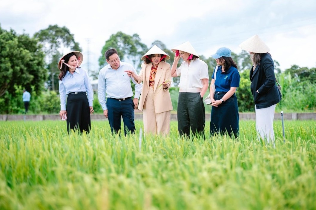 Photograph shows six people inspecting lush green crops in a field, including three wearing traditional conical hats and one wearing a blue cap. Scene depicts agricultural collaboration or field research, with trees and a rural landscape in background.