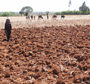 Bare soil in Ethiopia that has been heavily turned
