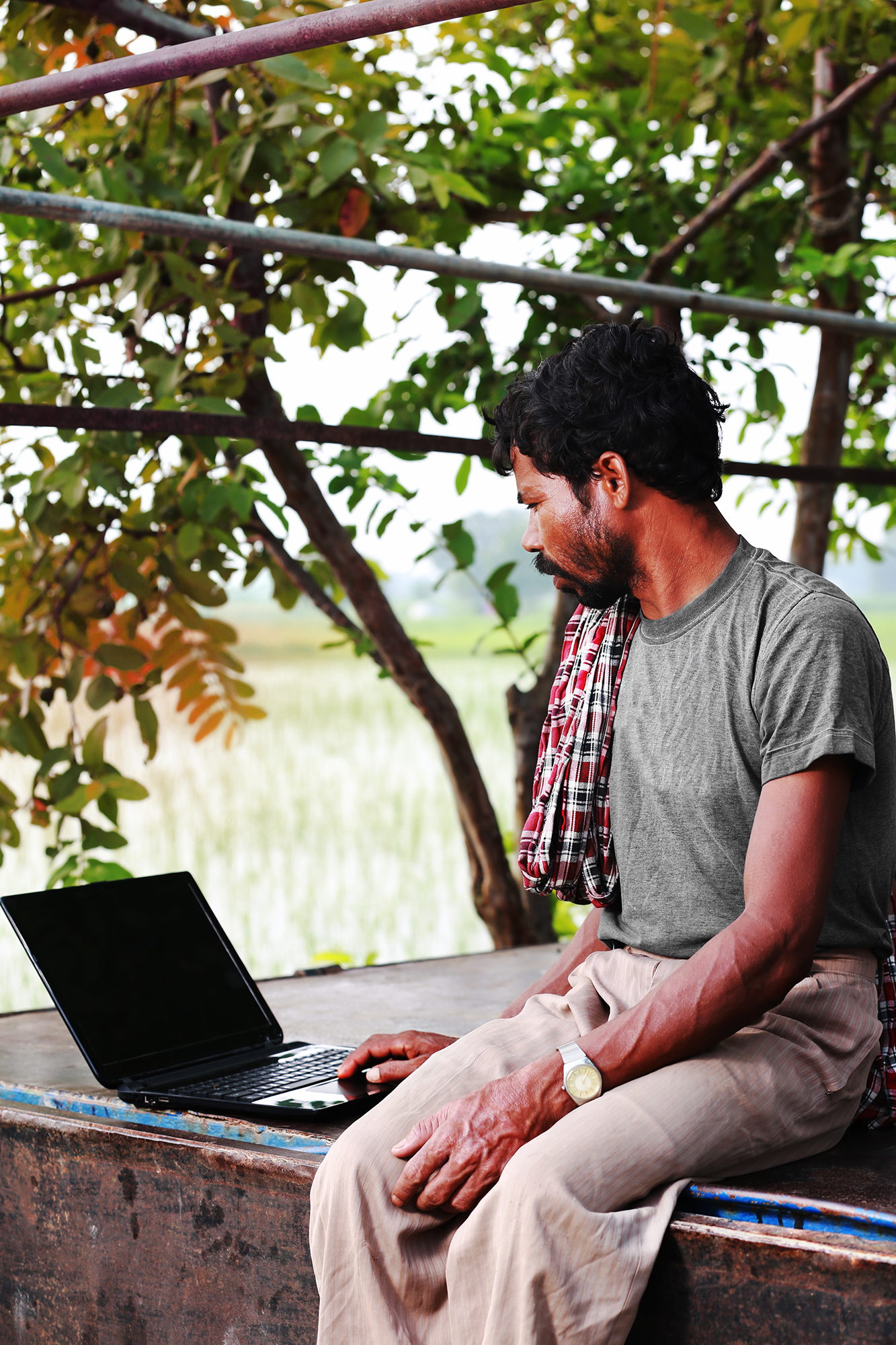 Person sitting outside under a tree, using a laptop.