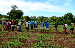 Group of people attending a watermelon growing demonstration