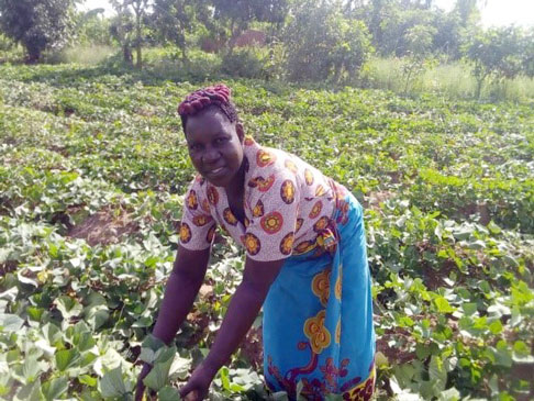 Loveness with her sweet potato crops