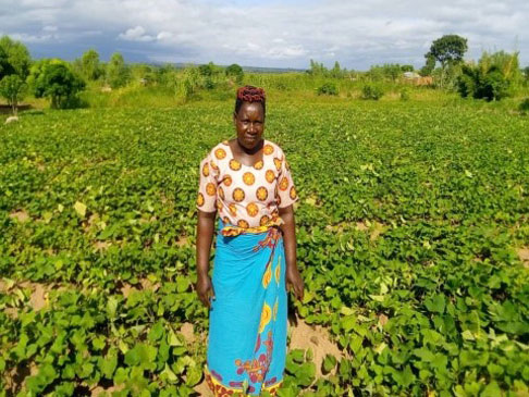 Loveness with her sweet potato crops