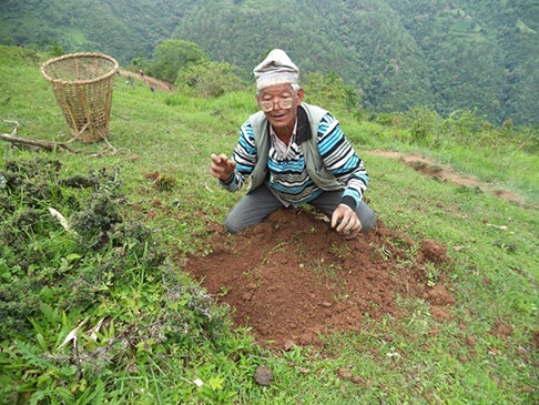 Man kneeling on dirt on green hill