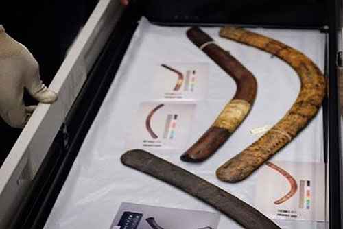 The throwing sticks in a glass case.
