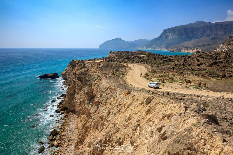 Road near the ocean