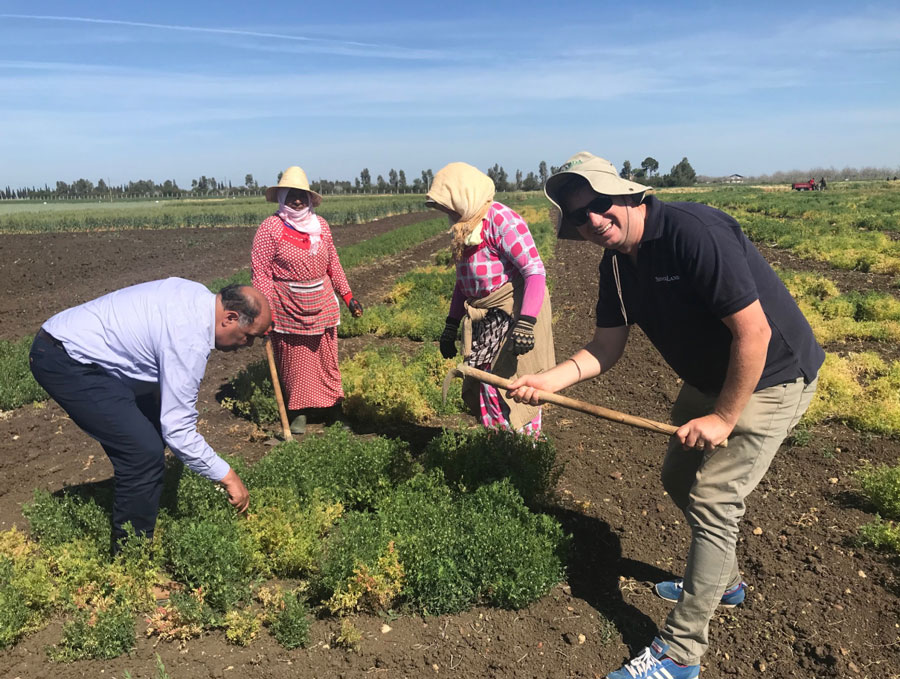 Photo of Gregor Heard farming with locals in Morocco.