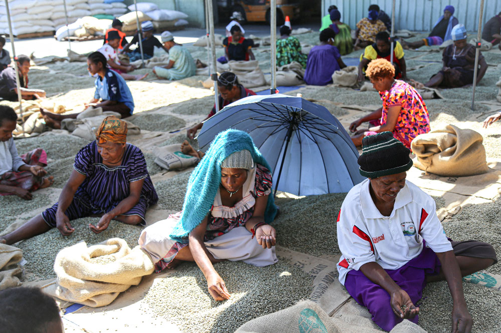 Several women sorting coffee beans on the ground.