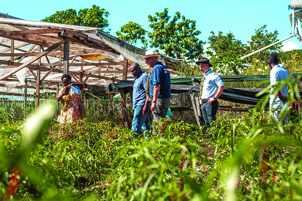 High Commissioner Dr Lachlan Strahan toured a Solomon Islands commercial farm.