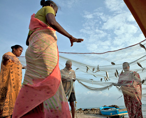 Three women and a man on a beach stretching out a fishing net containing small fish