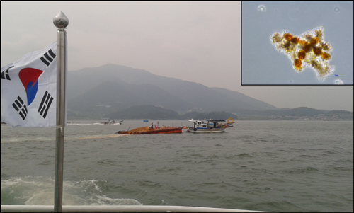 ship in the ocean with Korean flag in the foreground