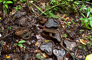 Unexploded ordnance.