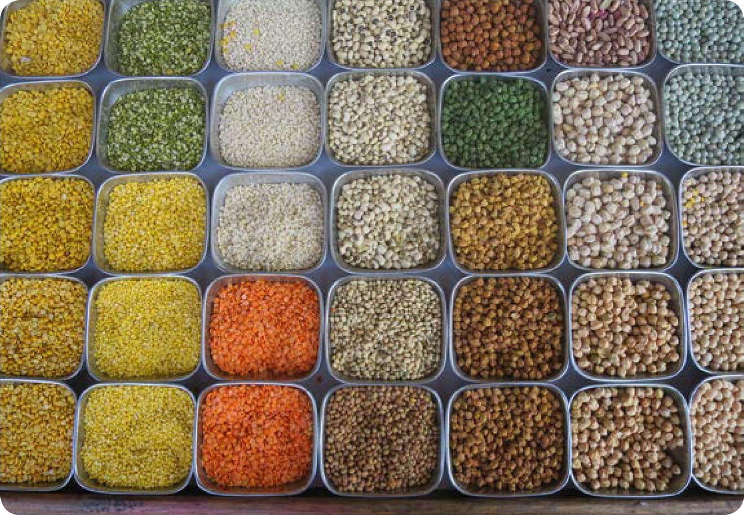 Pulses, including chickpeas, lentils, mung beans and dried peas