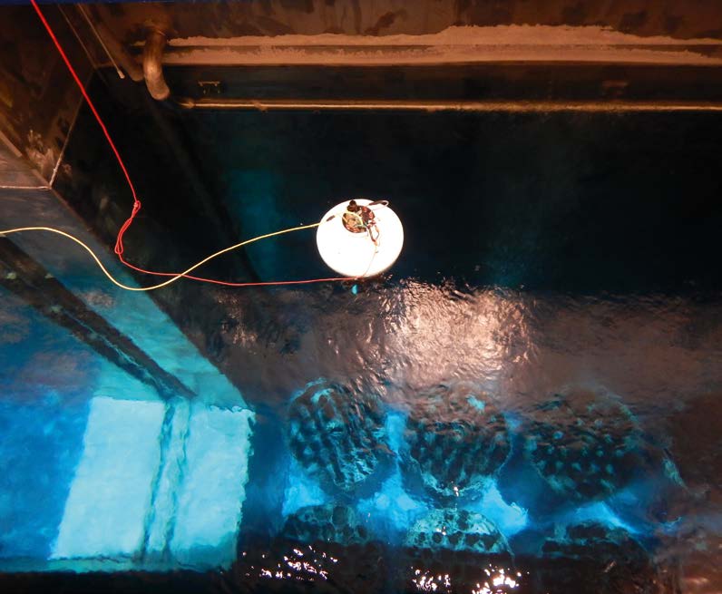 The robot designed by Datastart Ltd from the IAEA's Robotics Challenge undergoing testing at the Loviisa Nuclear Power Plant in Finland in November 2018 (Credit: IAEA).