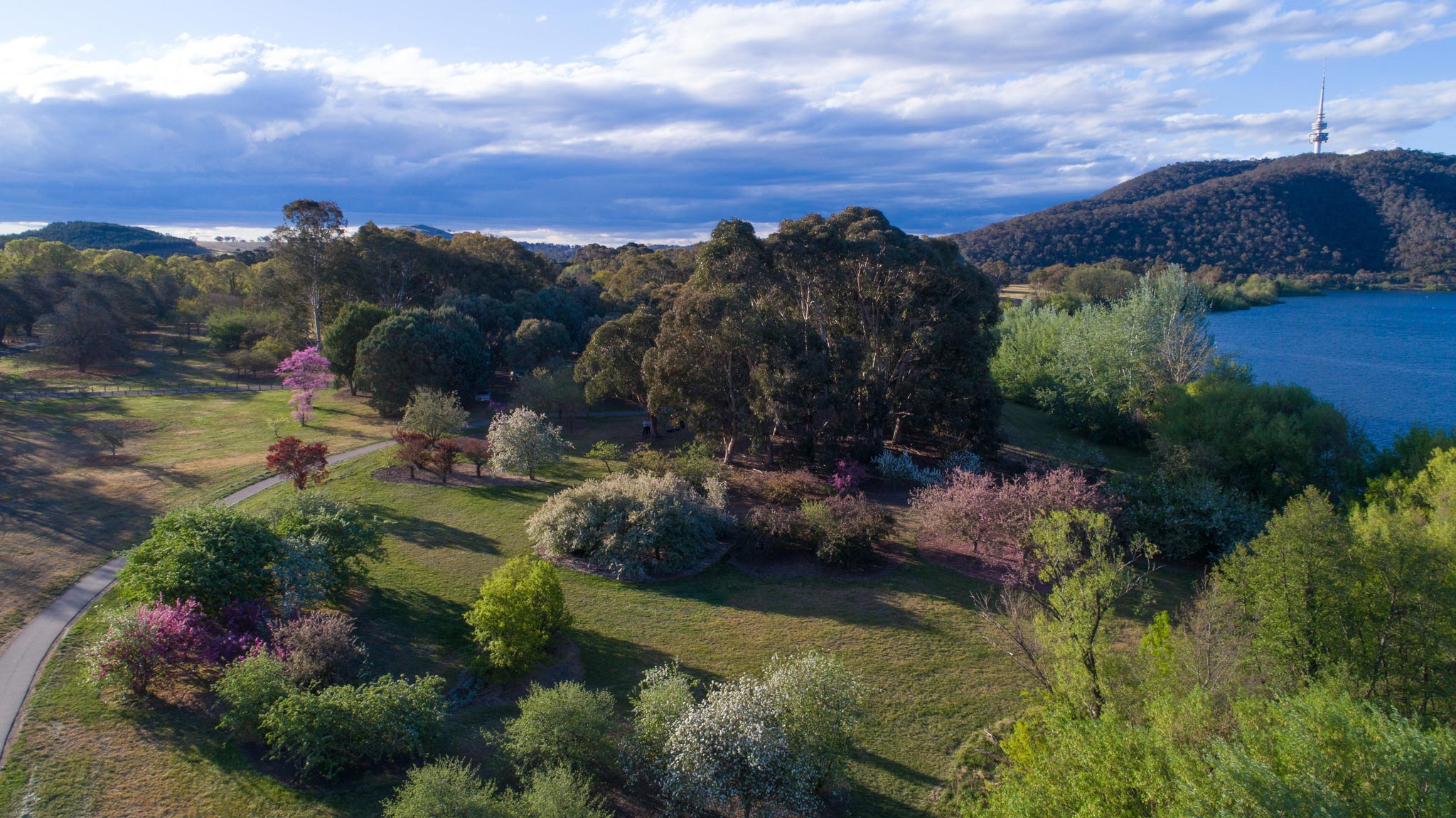 View over Lake Burley Griffin, Canberra, with mountains and Black Mountain Tower in background