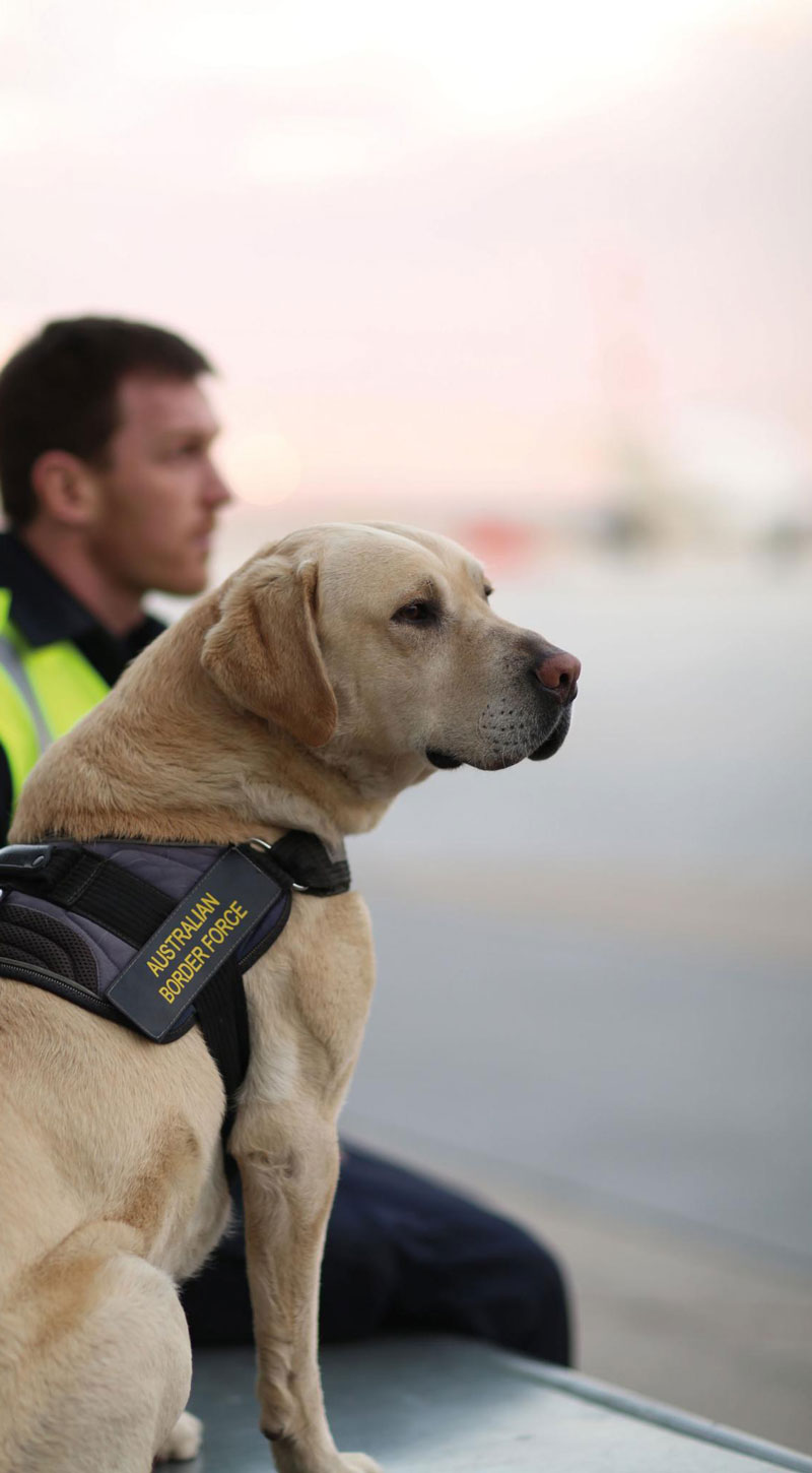Border Force Officers