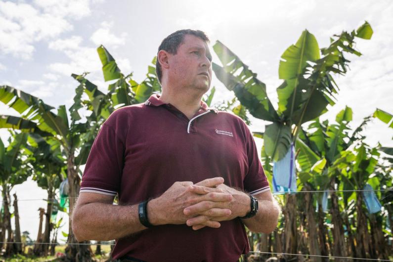 Stewart Lindsay, photographed from below, standing in a banana plantation