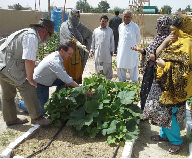Deputy High Commissioner to Pakistan, Paul Molloy OAM (kneeling), and UN Food and Agricultural Organization (FAO) project leader, David Doolan (left), visit an Australian–FAO supported agricultural development project, teaching women farmers market gardening skills and marketing techniques, Quetta, 10 June 2014. [DFAT]