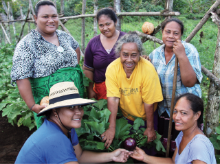 Civil Society Support Program, Samoa, July 2014