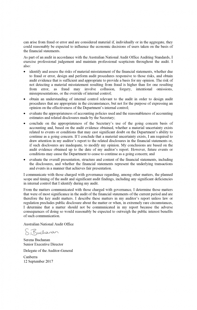 auditors report