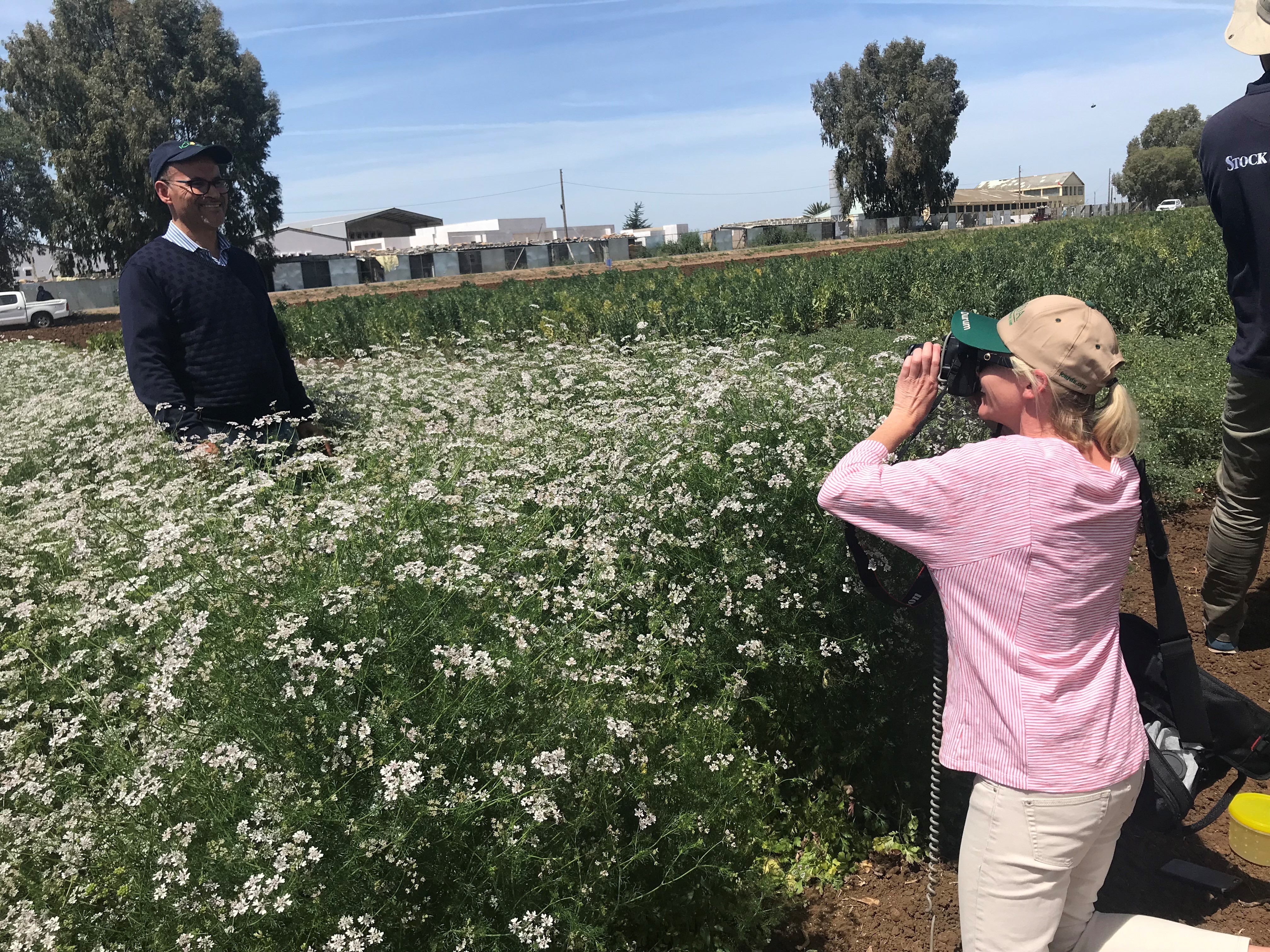 Interviewing staff at ICARDA, Rabat
