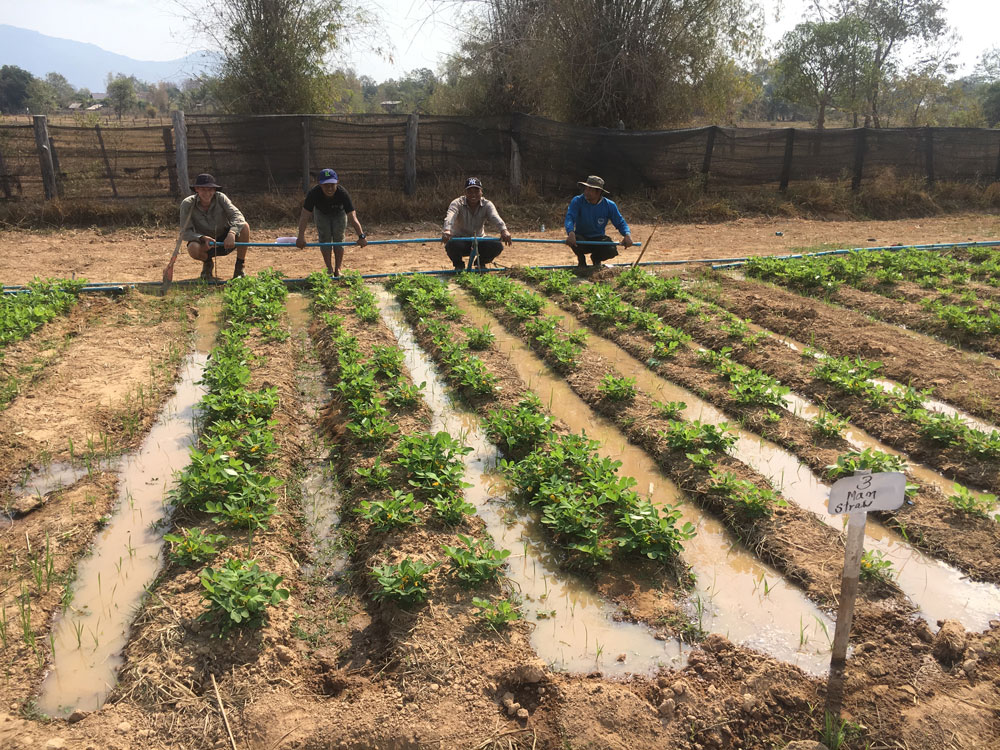 Photo of a farmers farming on a farm. 