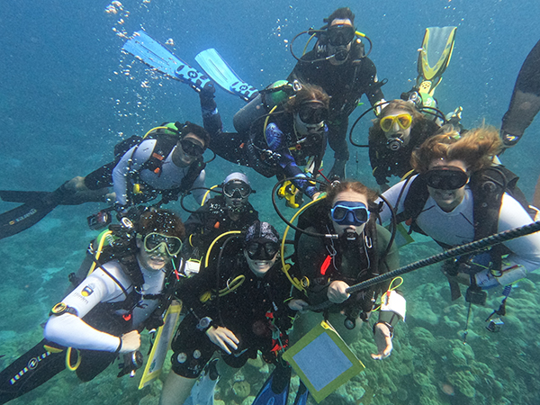 9 people scuba diving.