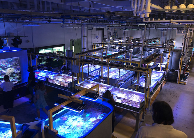 AIMS facility in Townsville, QLD Australia