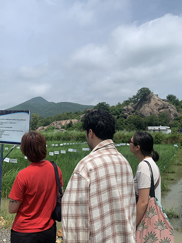 Three people standing outdoors, viewed from behind, looking at a signboard. The background features green grass, a body of water, rocky hills, and a cloudy sky. One person wears a red shirt, another a white shirt with a floral bag, and the third a plaid shirt.