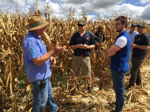 Farmers having discussion in a wheat farm