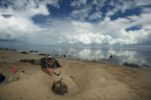 A beach