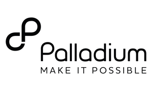 Palladium make it possible logo