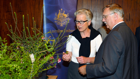 Ms Brigitte Mang (l), Director of Austrian Federal Gardens, and Ambassador David Stuart looking at specimens of Australian plants held by the Federal Gardens. Copyright: NHM/Kracher 